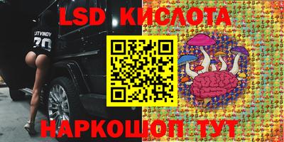 скорость Берёзовский