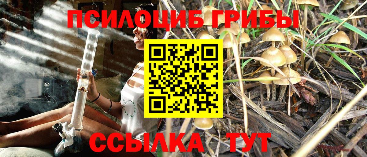 Галлюциногенные грибы MAGIC MUSHROOMS Карпинск